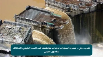 تهديد دولي.. مصر والسودان توحدان موقفهما ضد السد الإثيوبي المخالف للقانون الدولي